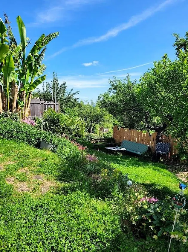 Tente-Cabane En Quercy Planioles 0*,